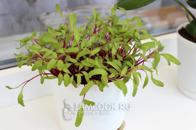 Шаг 2: иллюстрация