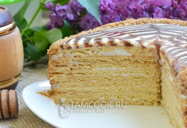 Шаг 14: иллюстрация