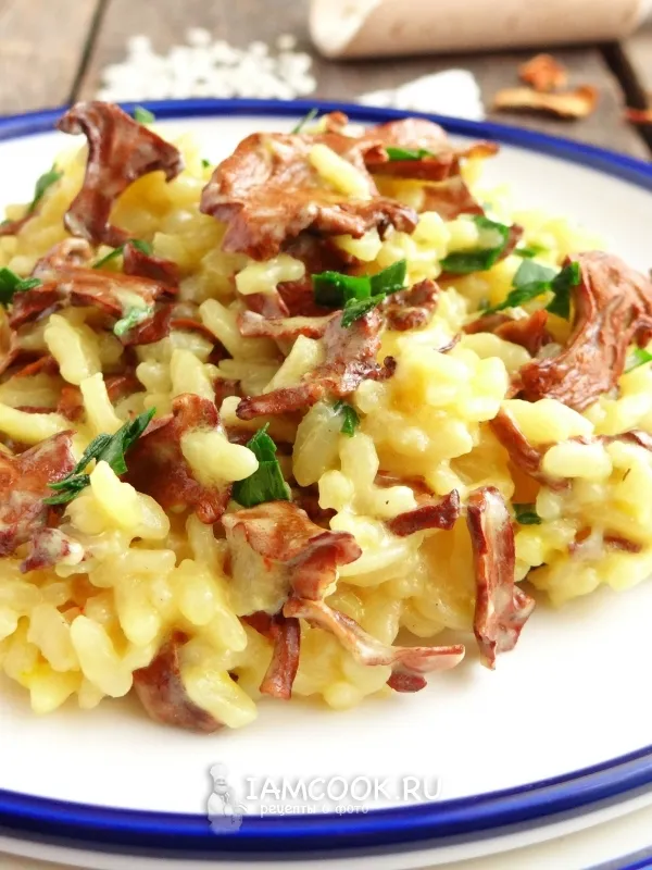 Шаг 19: иллюстрация