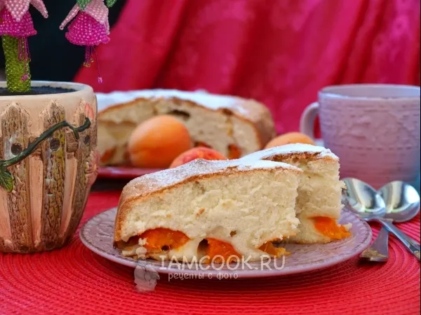 Фото блюда: Шарлотка с абрикосами