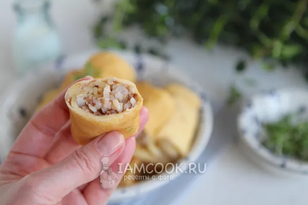 Шаг 18: иллюстрация