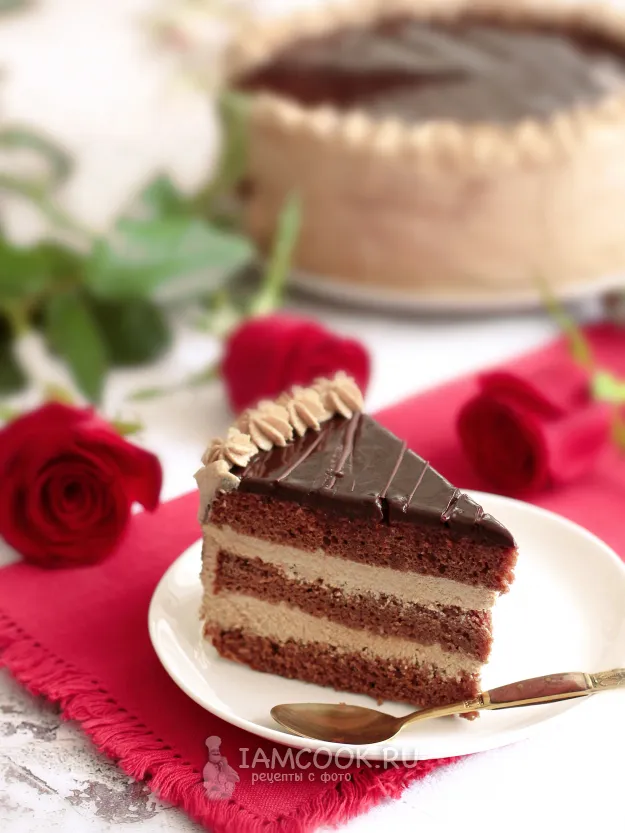 Шаг 20: иллюстрация