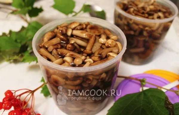 Шаг 10: иллюстрация