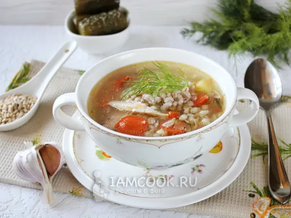 Фото готового блюда: Рассольник с индейкой и перловкой
