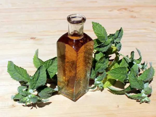 Фото блюда: Мятный ликер