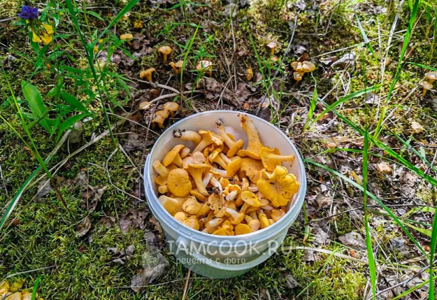 Шаг 1: иллюстрация