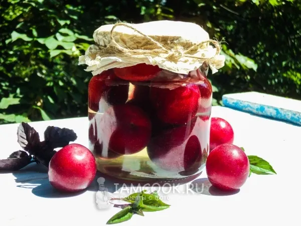 Фото готового блюда: Алыча в сиропе на зиму