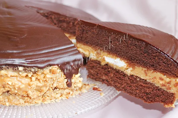 Шаг 16: иллюстрация