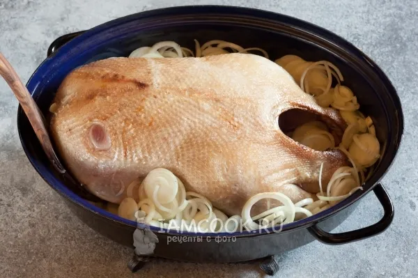 Шаг 6: иллюстрация