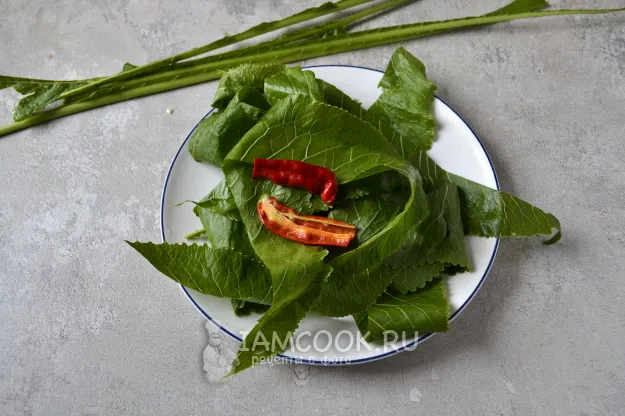 Шаг 4: иллюстрация