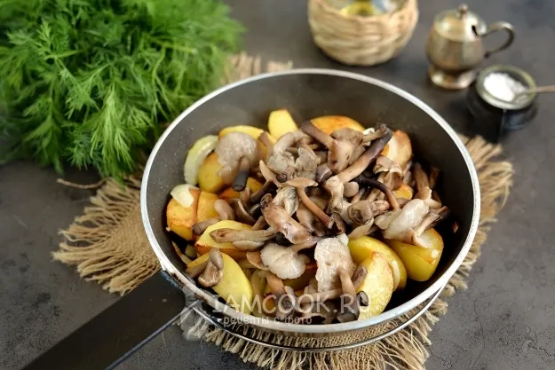 Шаг 5: иллюстрация