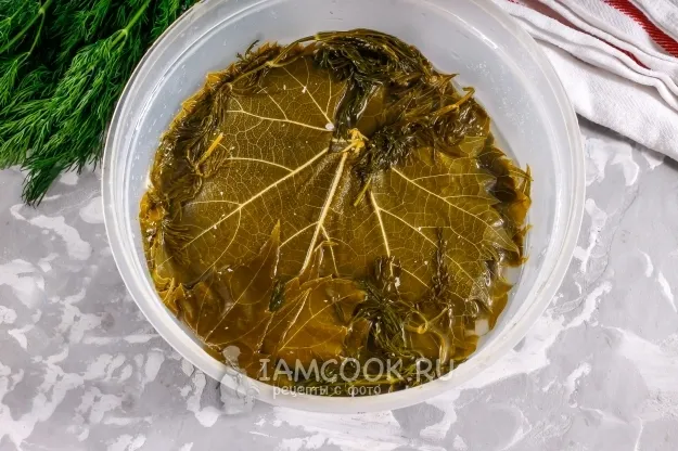 Шаг 6: иллюстрация