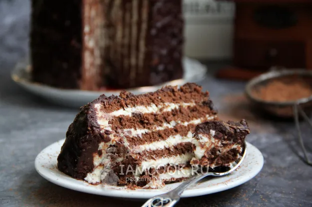 Шаг 20: иллюстрация