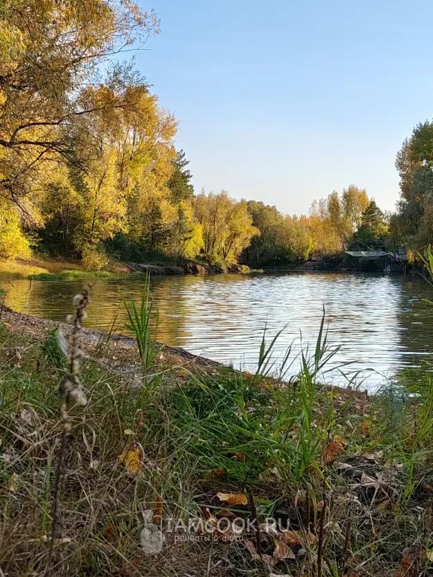 Шаг 13: иллюстрация