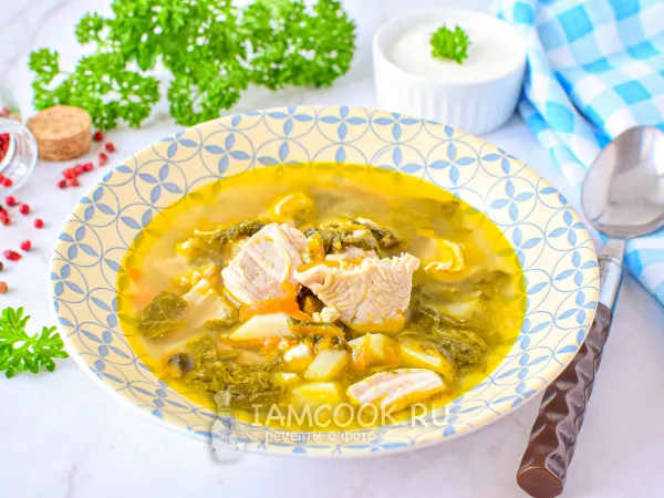 Фото готового блюда: Щавелевый суп с индейкой