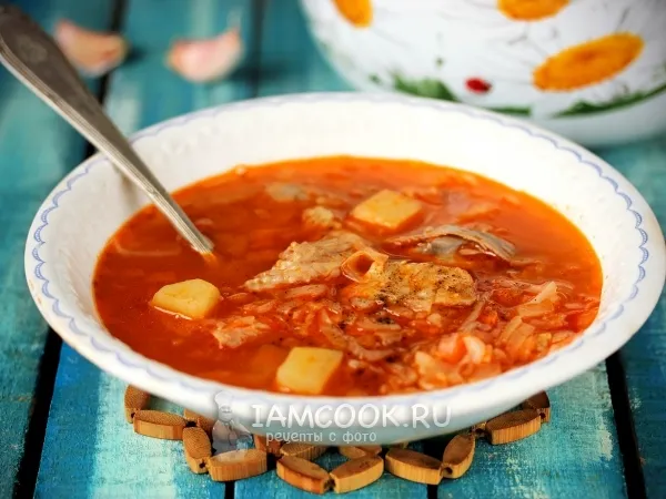 Фото блюда: Свежие щи с курицей