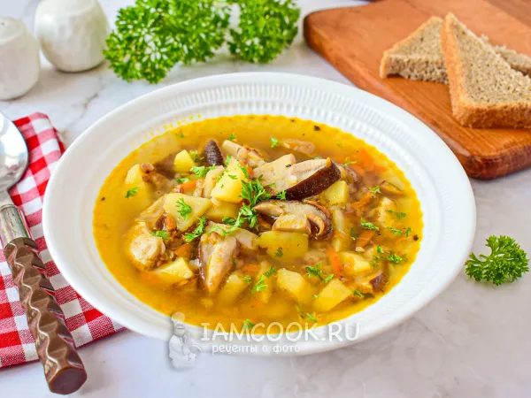 Фото блюда: Суп с белыми грибами и гречкой