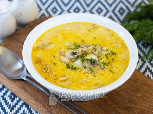 Фото готового блюда: Суп с гречкой и сыром