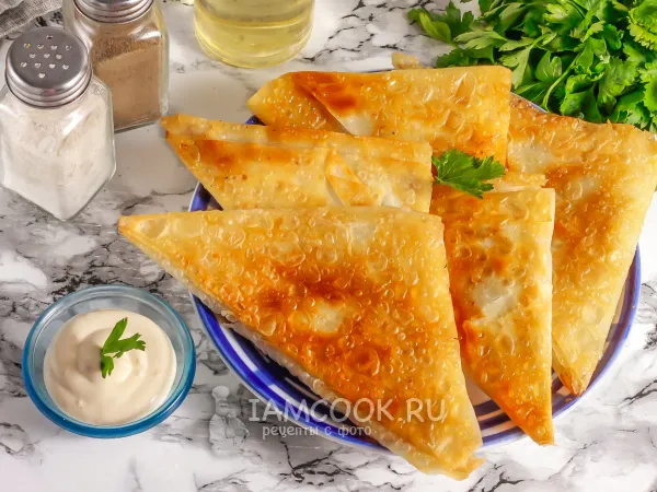 Фото готового блюда: Чебуреки из теста фило