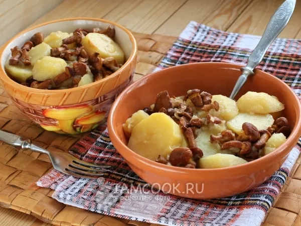 Фото готового блюда: Лисички с картошкой в мультиварке