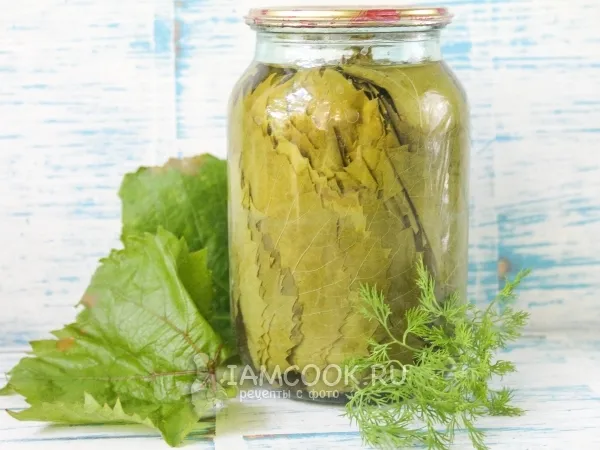Фото готового блюда: Маринованные виноградные листья на зиму