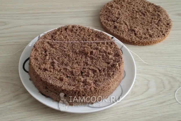 Шаг 17: иллюстрация