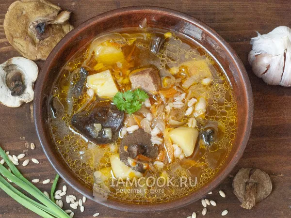 Фото блюда: Щи с перловкой и грибами (на мясном бульоне)