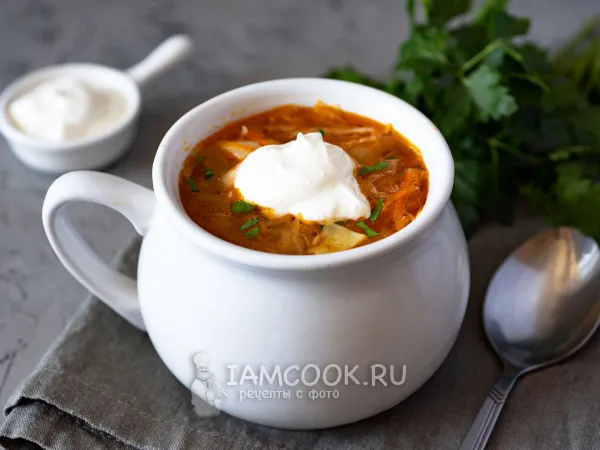 Фото блюда: Щи из маринованной капусты (с мясом)