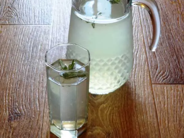 Фото готового блюда: Лимонад с мятой