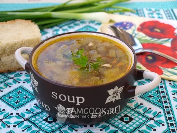 Фото блюда: Куриный суп с грибами