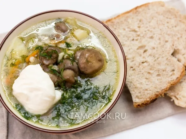 Фото блюда: Суп с шампиньонами и перловкой