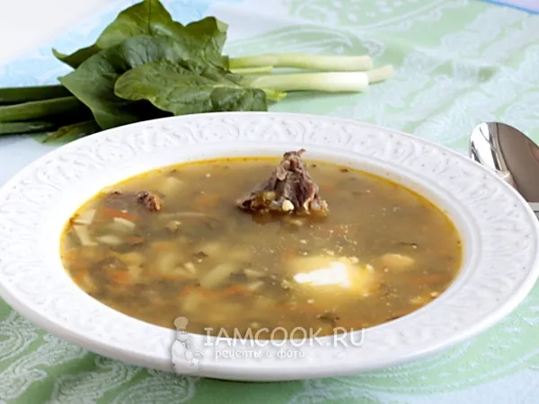 Фото готового блюда: Зеленый борщ с мясом