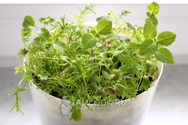 Шаг 8: иллюстрация