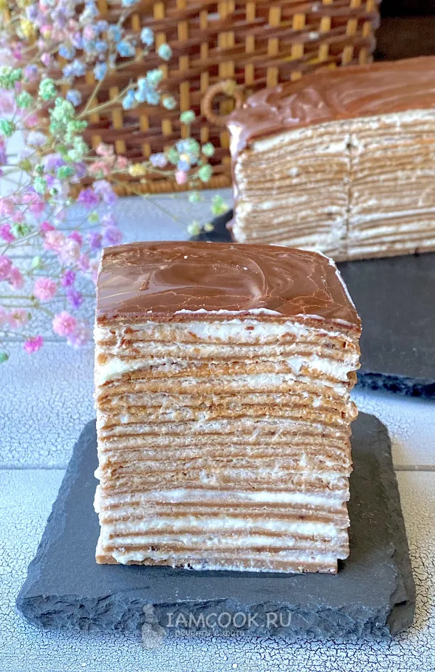 Шаг 12: иллюстрация