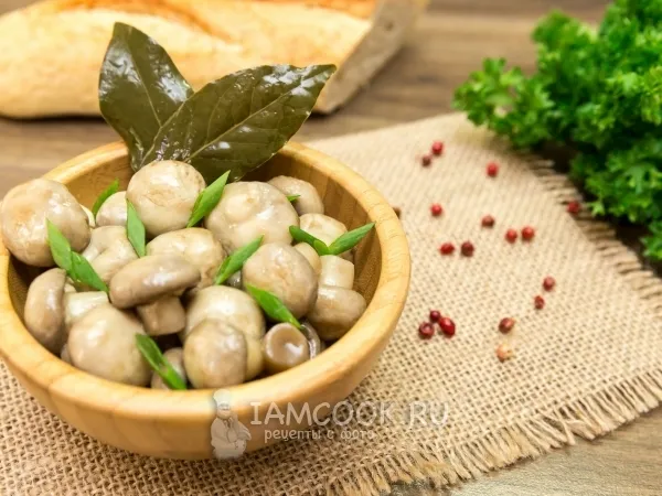 Фото блюда: Маринованные шампиньоны быстрого приготовления