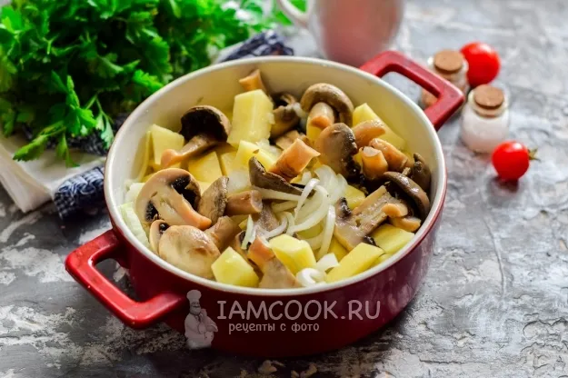 Шаг 5: иллюстрация