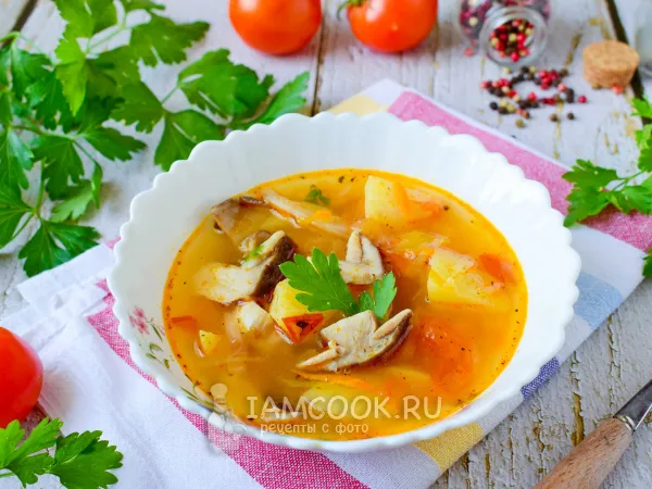 Фото блюда: Щи с белыми грибами