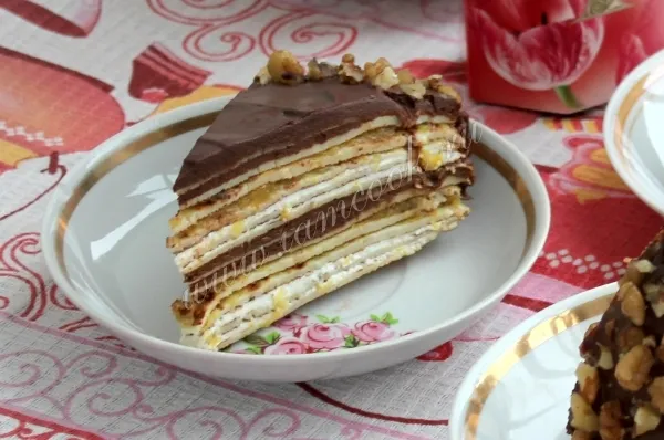 Шаг 17: иллюстрация