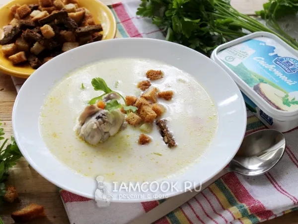 Фото блюда: Сырный суп по-французски с курицей