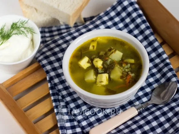 Фото готового блюда: Зеленый борщ со щавелем и адыгейским сыром