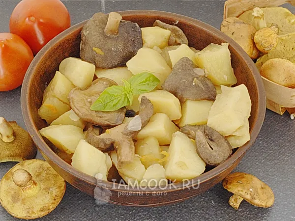 Фото блюда: Тушеная картошка с маслятами